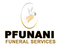 Pfunani new logo3